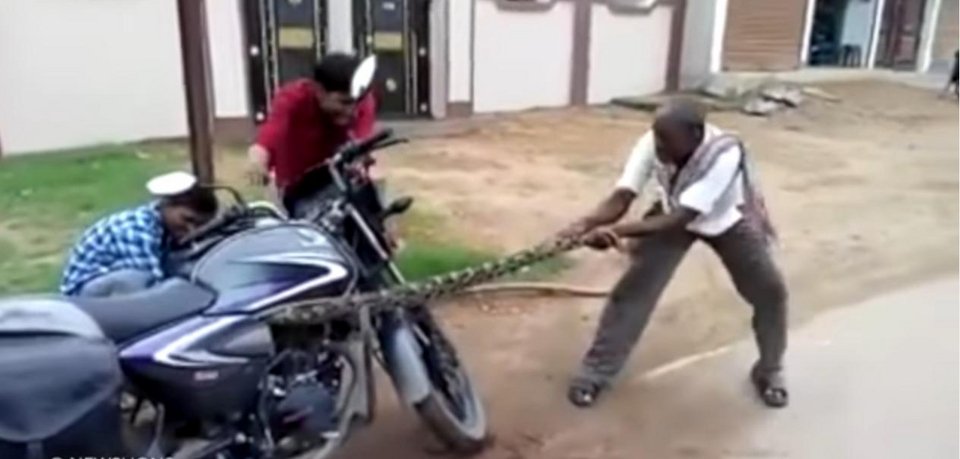 Απίστευτη μάχη μοτοσικλετιστή με πύθωνα που κρύφτηκε στη μηχανή του  [βίντεο]  | iefimerida.gr 1