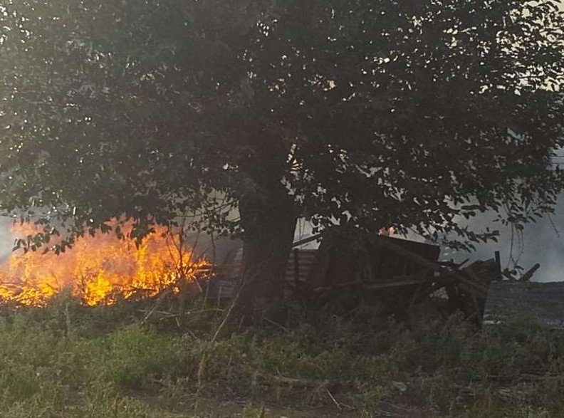 Εκτός ελέγχουν η φωτιά στη Βοιωτία -Κύκλωσαν χωριό οι φλόγες [εικόνες & βίντεο] | iefimerida.gr 1