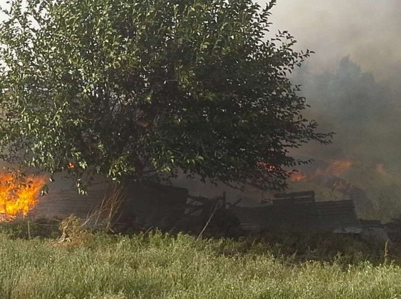 Εκτός ελέγχουν η φωτιά στη Βοιωτία -Κύκλωσαν χωριό οι φλόγες [εικόνες & βίντεο] | iefimerida.gr 2