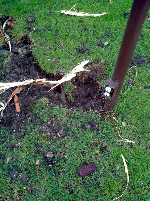 Φρικιαστικός άγνωστος οργανισμός «ξεφύτρωσε» σε αυλή έπειτα από χτύπημα κεραυνού [εικόνες] | iefimerida.gr 2