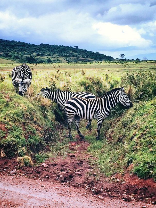 Η αμαζόνα βετεράνος του Αφγανιστάν που κυνηγά λαθροθήρες – Ομορφη και βαριά οπλισμένη [εικόνες] | iefimerida.gr 8
