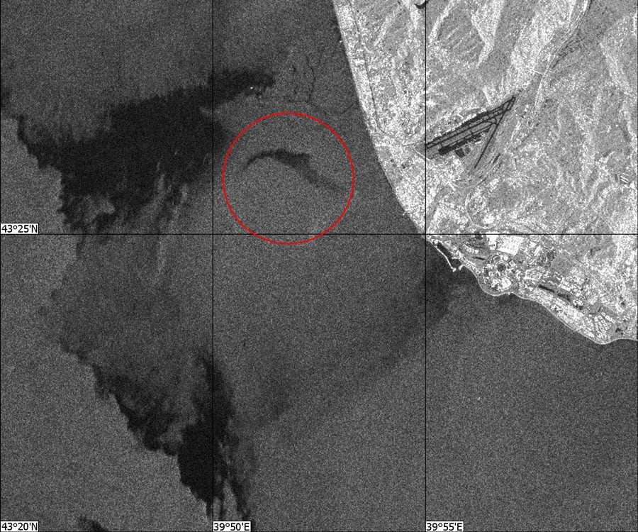Τουπόλεφ: Βρέθηκαν τμήματα της ατράκτου -Τα 4 σενάρια της τραγωδίας | iefimerida.gr 0