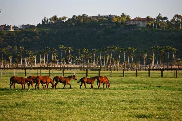 Ο Μπιλ Γκέιτς γίνεται καουμπόι -Αγόρασε ένα απίθανο ράντσο 18 εκατομμυρίων [εικόνες] | iefimerida.gr 1