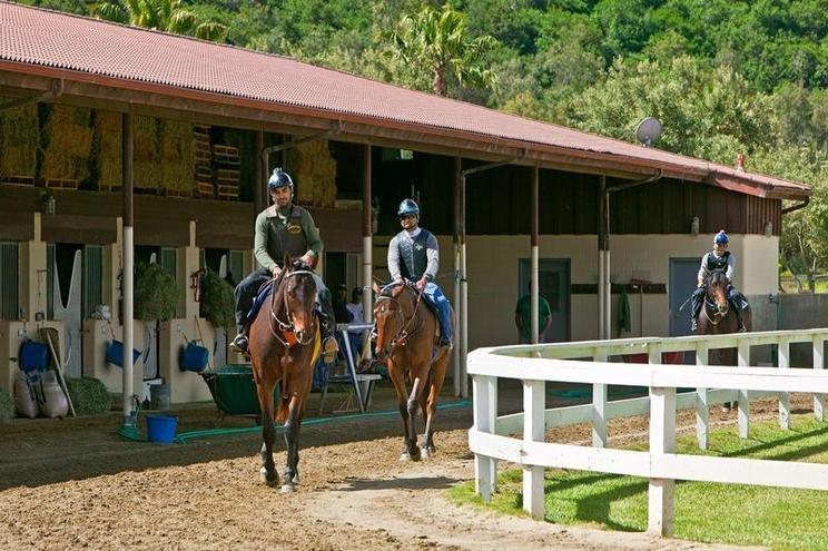 Ο Μπιλ Γκέιτς γίνεται καουμπόι -Αγόρασε ένα απίθανο ράντσο 18 εκατομμυρίων [εικόνες] | iefimerida.gr 3