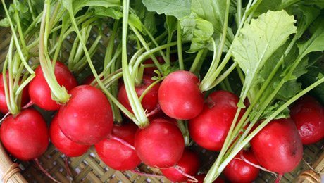 5 + 1 τρόφιμα για να ανανεώσετε τη διατροφή σας την άνοιξη [εικόνες] | iefimerida.gr 4