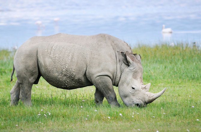 Αυτές είναι οι πιο... εξοργιστικές επιστημονικές ανακαλύψεις για το 2015 [εικόνες] | iefimerida.gr 4