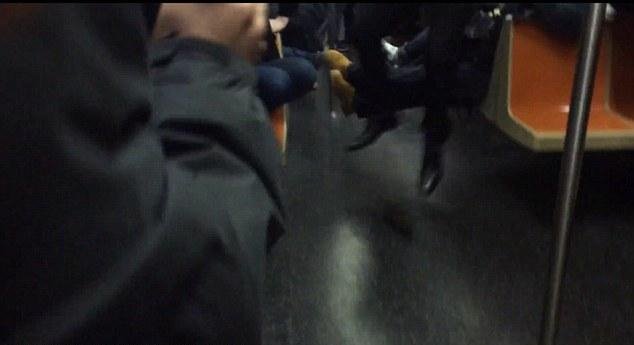 Αρουραίος έσπειρε τον πανικό στο μετρό της Ν. Υόρκης -Φωνές και επιβάτες όρθιοι πάνω στα καθίσματα [εικόνες & βίντεο] | iefimerida.gr 2