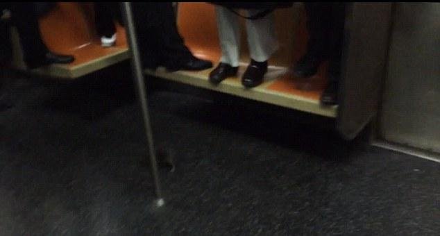 Αρουραίος έσπειρε τον πανικό στο μετρό της Ν. Υόρκης -Φωνές και επιβάτες όρθιοι πάνω στα καθίσματα [εικόνες & βίντεο] | iefimerida.gr 3