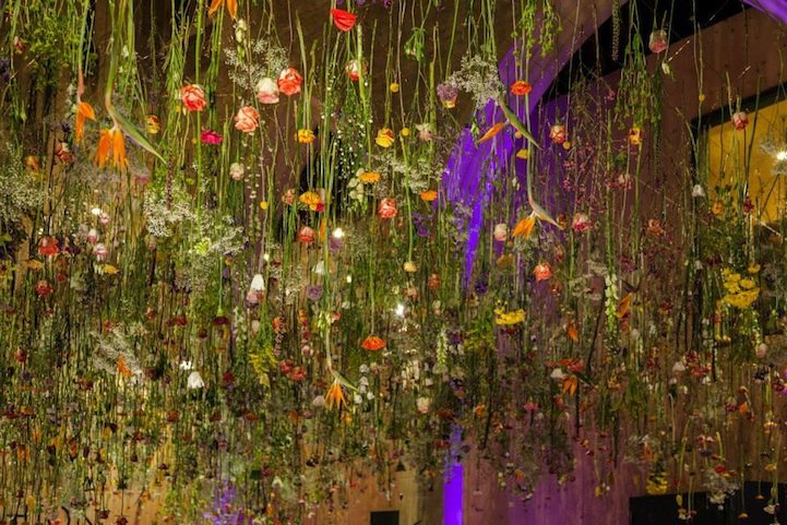 Οι κρεμαστοί κήποι της Ρεβέκκα –Η καλλιτέχνιδα που μεταμορφώνει τα κορυφαία κτίρια της Ευρώπης [εικόνες]  | iefimerida.gr 2