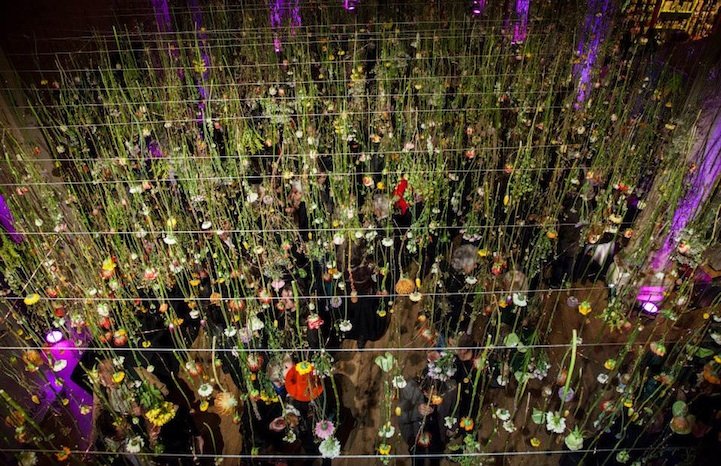 Οι κρεμαστοί κήποι της Ρεβέκκα –Η καλλιτέχνιδα που μεταμορφώνει τα κορυφαία κτίρια της Ευρώπης [εικόνες]  | iefimerida.gr 3