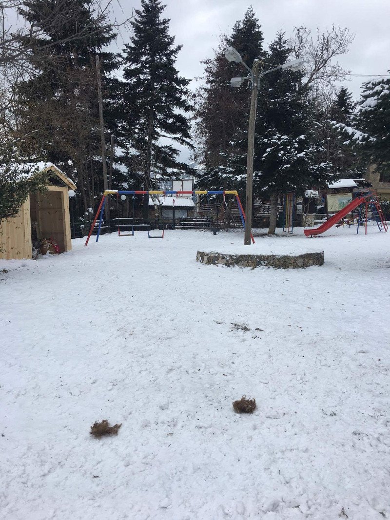 Τρίκαλα Κορινθίας: Πληρότητα 100% για την Πρωτοχρονιά -Προλάβετε για τα Φώτα [εικόνες] | iefimerida.gr 2