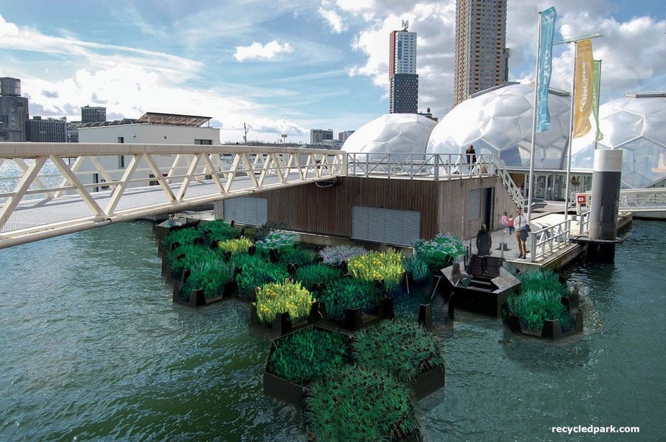 Μάζεψαν τα σκουπίδια από το λιμάνι του Ρότερνταμ και έφτιαξαν πλωτό πάρκο [βίντεο] | iefimerida.gr 0