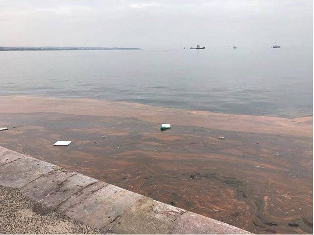 Κοκκίνισαν και πάλι τα νερά του Θερμαϊκού -Εμφανίστηκε ξανά η ερυθρά παλίρροια [εικόνες] | iefimerida.gr 0