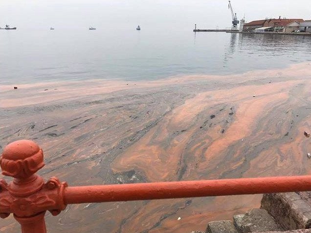Κοκκίνισαν και πάλι τα νερά του Θερμαϊκού -Εμφανίστηκε ξανά η ερυθρά παλίρροια [εικόνες] | iefimerida.gr 1