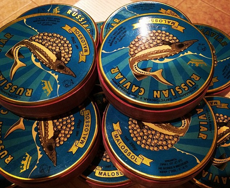 Οι Ρώσοι χλευάζουν τους Δυτικούς: Δεν γίναμε φτωχοί, έτσι σπαταλάμε το χαβιάρι, το δίνουμε και στα γατιά [εικόνες] | iefimerida.gr 7