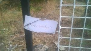 Σε απεργία πείνας έγκυες στον προσφυγικό καταυλισμό στη Ριτσώνα [εικόνες] | iefimerida.gr 1