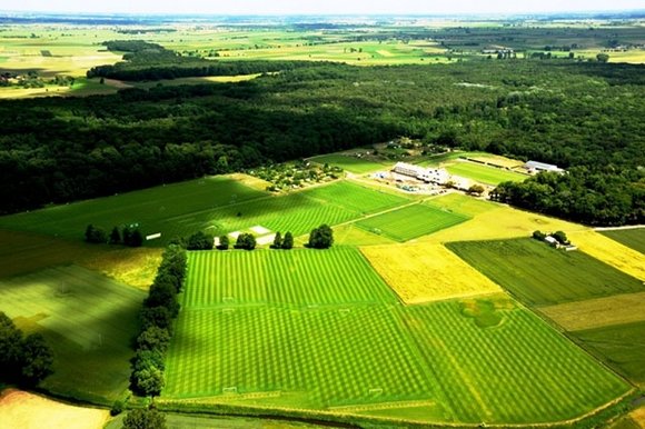 AEK: Μοίρασε συγχαρητήρια ο Δέλλας - Ταξίδι για το προπονητικό κέντρο ενόψει προετοιμασίας [εικόνες] | iefimerida.gr 0