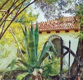 Oι κληρονόμοι πωλούν τη βίλα της Ρένας Βλαχοπούλου στην Κέρκυρα για 680.000 ευρώ [εικόνες] | iefimerida.gr 0