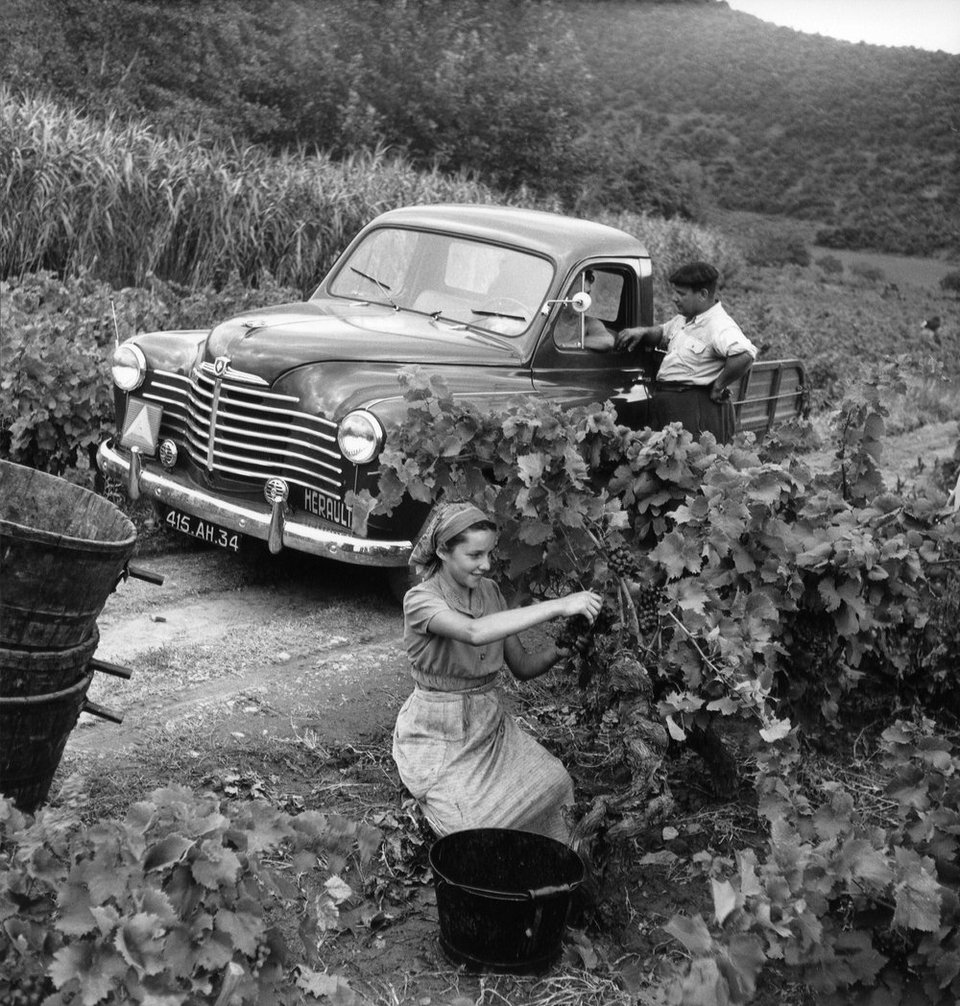 H προφητεία της Renault για τα Crossovers  | iefimerida.gr 1