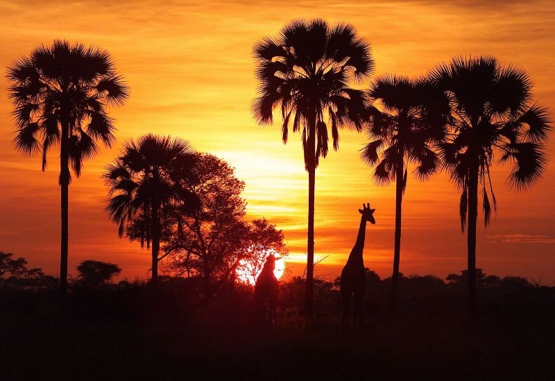 Ασυνήθιστο σαφάρι: Με βραδινό φόρεμα και ρετρό ατμόσφαιρα με πολυτελές τρένο [εικόνες] | iefimerida.gr 6