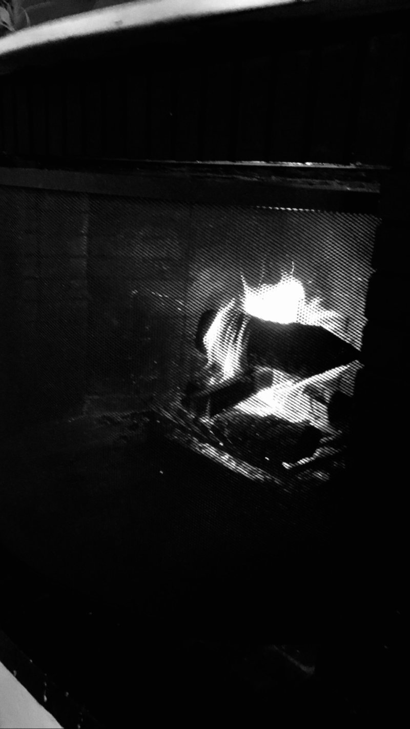 Το θεϊκό σπίτι Ρέβη-Τότσικα -Φωτογραφίες από το εσωτερικό του, για πρώτη φορά [εικόνες] | iefimerida.gr 2