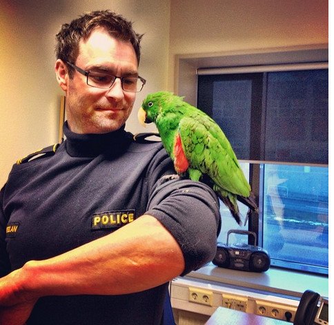 Oι πιο τρελοί αστυνομικοί -Κάνουν ό,τι τους κατέβει στο κεφάλι κι ανεβάζουν φωτογραφίες στο Instagram [εικόνες] | iefimerida.gr 12