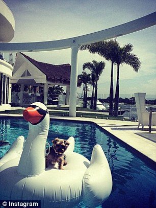 Τα... κακομαθημένα πλούσια σκυλιά του Instagram -Τετράποδα με μαργαριτάρια, γούνες, ταξίδια με lear jet και σαμπάνιες [εικόνες] | iefimerida.gr 5