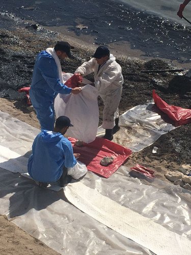 Στη «μάχη» κατά της ρύπανσης του Σαρωνικού και οι Ενοπλες Δυνάμεις: 30 στελέχη στη Σαλαμίνα, 60 στη Γλυφάδα [εικόνες] | iefimerida.gr 2