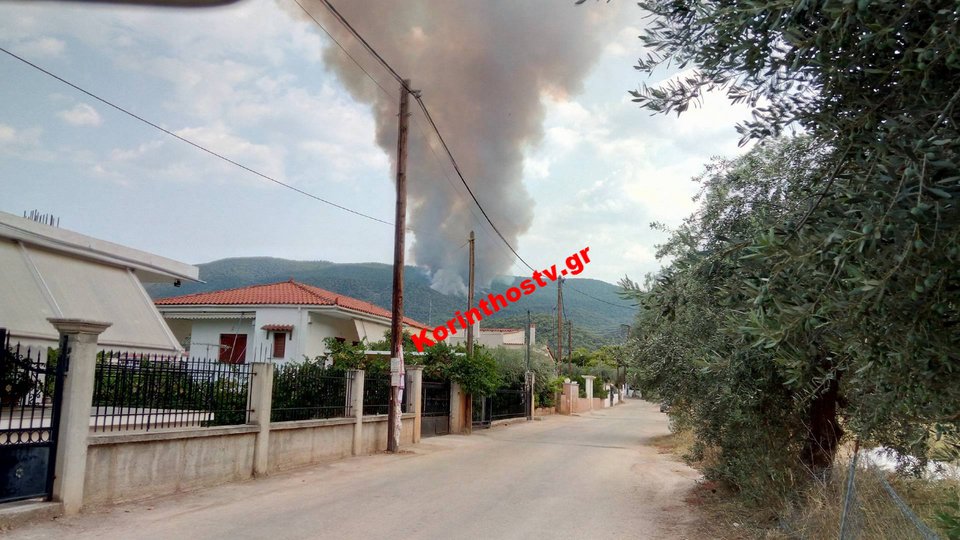 Δύσκολη νύχτα στο Ρυτό Κορινθίας -Μεγάλη πυρκαγιά απειλεί σπίτια, εκκενώθηκε κατασκήνωση [εικόνες & βίντεο] | iefimerida.gr 4