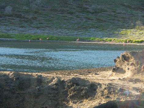 Μια ξεχωριστή γωνιά της Γης: Το μικρό άγονο, γκρι νησί των Γκαλαπάγκος με τη γαλάζια λίμνη [εικόνες] | iefimerida.gr 4