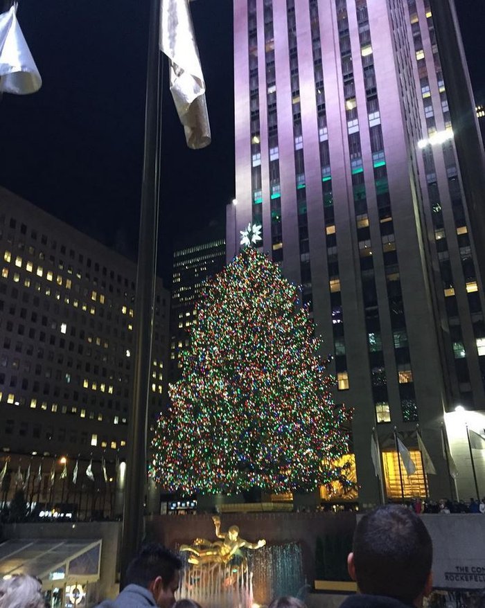 30.000 LED και 25.000 swarovski στο δέντρο του Rockfeller center - Ήρθε κατευθείαν από την Αλάσκα | iefimerida.gr 4