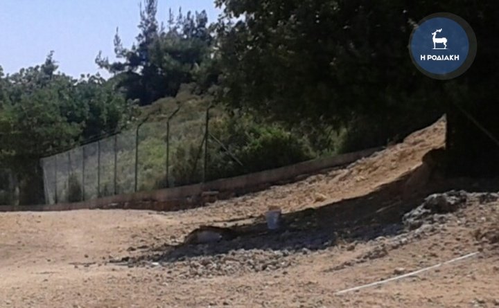 Ρόδος: Αγέλη σκύλων κατασπάραξε ελάφια [εικόνες] | iefimerida.gr 0