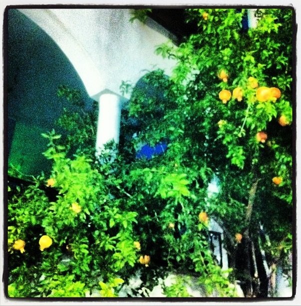 Που...έκατσε η Ανθή Σαλαγκούδη για να βρει την τύχη της[Εικόνα] | iefimerida.gr 1