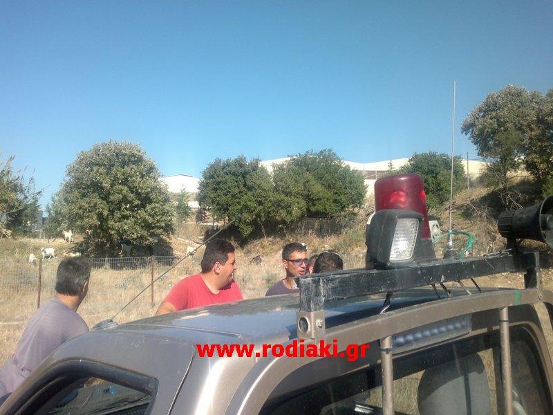 Δασοκομάντος και πάνοπλοι άνδρες της ΔΙΑΣ έστησαν επιχείρηση για να «συλλάβουν» ...αδέσποτα κατσίκια [βίντεο +εικόνες] | iefimerida.gr 0