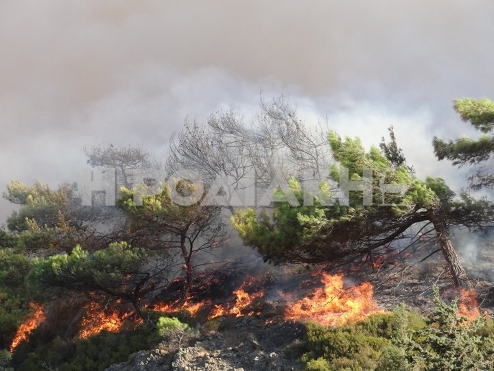 Μαίνεται ανεξέλεγκτη η φωτιά στη Ρόδο [εικόνες και βίντεο] | iefimerida.gr 0
