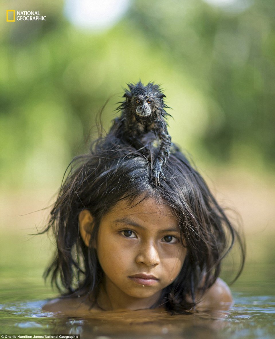 Αυτές είναι οι καλύτερες φωτογραφίες του National Geographic για το 2016 | iefimerida.gr 4
