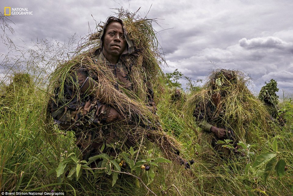Αυτές είναι οι καλύτερες φωτογραφίες του National Geographic για το 2016 | iefimerida.gr 7
