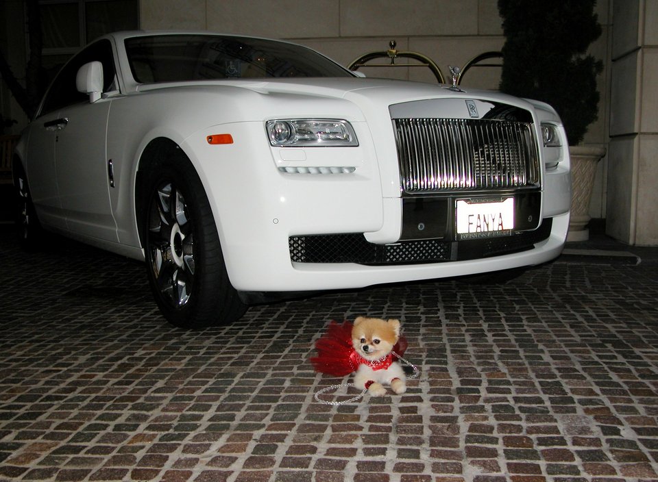 Μέσα στην κρίση ήρθε και η πρώτη λιμουζίνα Ρολς-Ρόις για σκύλους  [εικόνες] | iefimerida.gr 2
