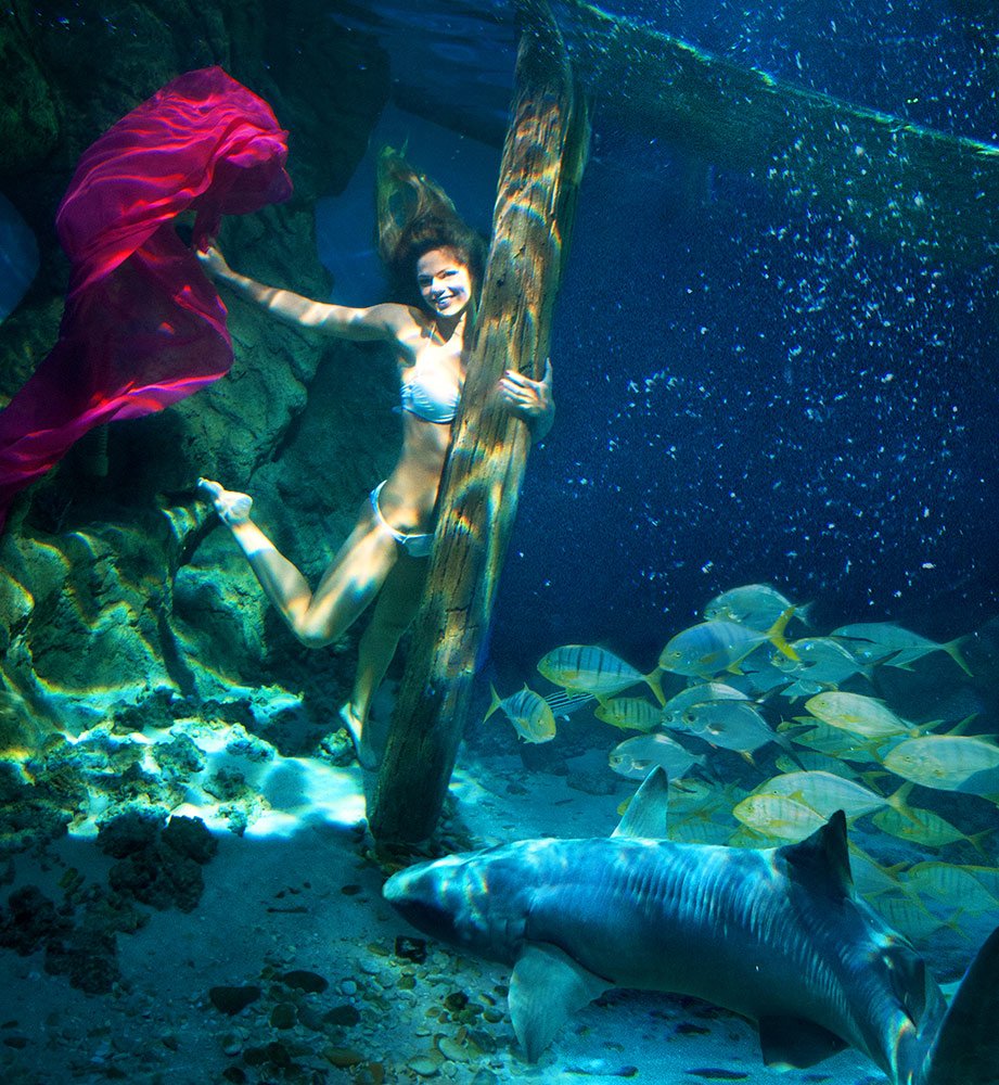 Ρωσίδα «γοργόνα» παρέα με ... καρχαρίες -Εκθαμβωτική πρωταθλήτρια [εικόνες]   | iefimerida.gr 0