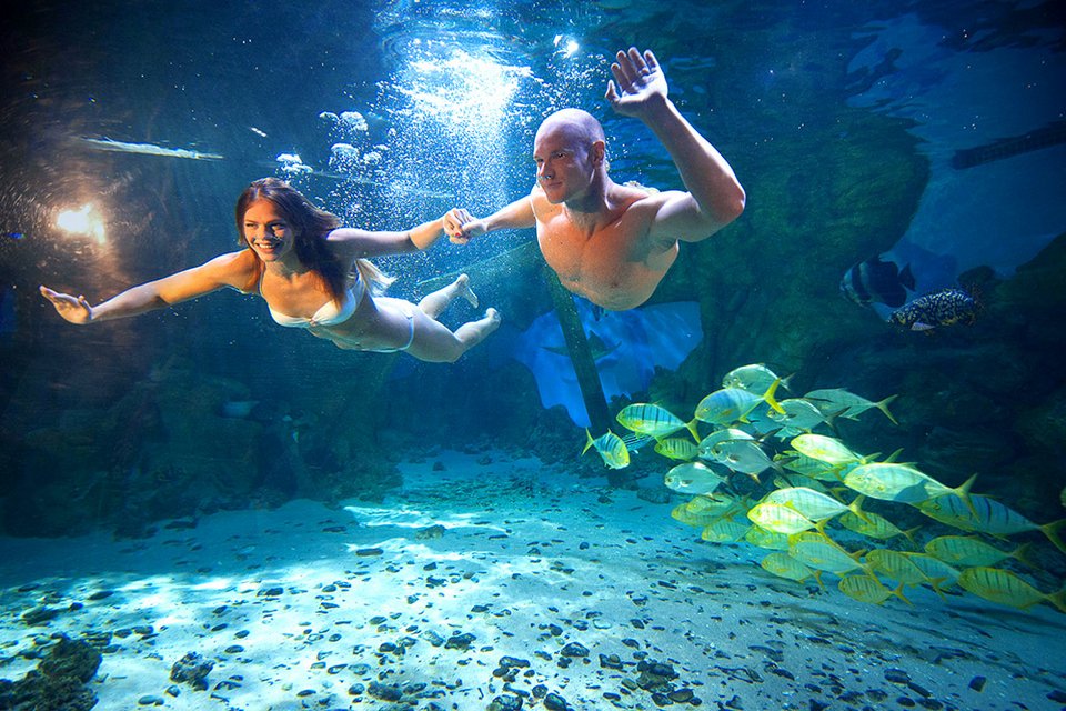 Ρωσίδα «γοργόνα» παρέα με ... καρχαρίες -Εκθαμβωτική πρωταθλήτρια [εικόνες]   | iefimerida.gr 3