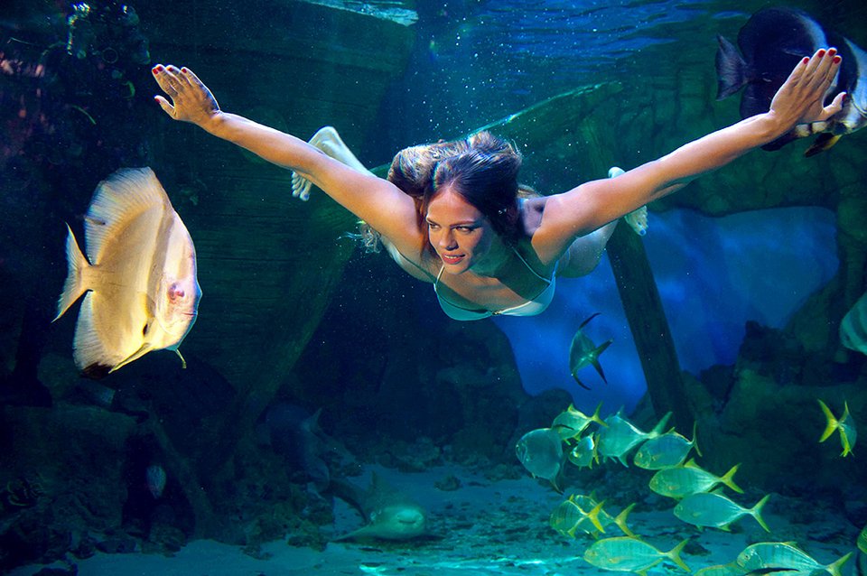 Ρωσίδα «γοργόνα» παρέα με ... καρχαρίες -Εκθαμβωτική πρωταθλήτρια [εικόνες]   | iefimerida.gr 5