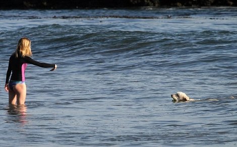 Ξέγνοιαστες στιγμές με τη Rosie Huntington και το σκυλάκι της στην παραλία [εικόνες] | iefimerida.gr 1