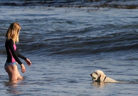 Ξέγνοιαστες στιγμές με τη Rosie Huntington και το σκυλάκι της στην παραλία [εικόνες] | iefimerida.gr 2