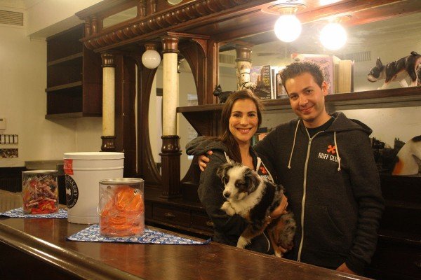 Κυριλέ μπαρ για σκύλους στο κέντρο της Νέας Υόρκης [εικόνες] | iefimerida.gr 2