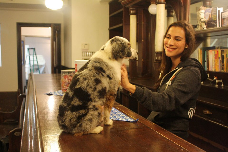 Κυριλέ μπαρ για σκύλους στο κέντρο της Νέας Υόρκης [εικόνες] | iefimerida.gr 3