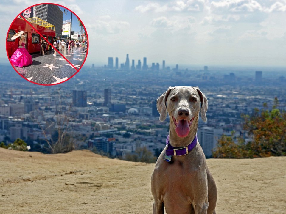 Η Ακρόπολη ένα από τα 14 μέρη στον κόσμο που πήζουν από τουρίστες -Γιατί το Bussiness Insider προτρέπει όλους να πάνε μετά στη Ρόδο [εικόνες] | iefimerida.gr 2