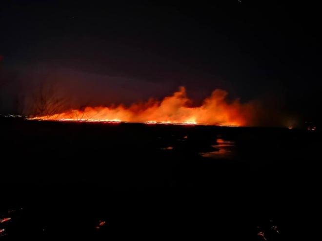Ολονύχτια μάχη με τις φλόγες σε Κεφαλονιά και Πάτρα -Eκκενώθηκαν σπίτια [εικόνες] | iefimerida.gr 1