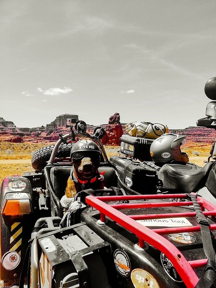 Ο διαφορετικός θρήνος ενός πατέρα -Ταξιδεύει 10 χρόνια ακατάπαυστα  με μοναδική παρέα τον σκύλο του [εικόνες]  | iefimerida.gr 4