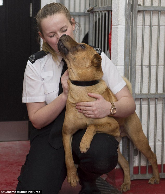 Εμφανίστηκε η γυναίκα που εγκατέλειψε το σκυλί δεμένο σε βαλίτσα στη Σκωτία: «Δεν έκανα κάτι κακό» [εικόνες] | iefimerida.gr 3