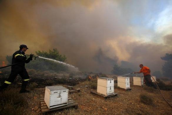 Με το φακό του Reuters: Η μάχη της Πυροσβεστικής με την «πύρινη κόλαση» του Μαραθώνα [εικόνες] | iefimerida.gr 1
